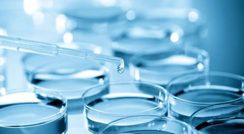 港交所上市未滿一年，康希諾再戰(zhàn)科創(chuàng)板 研發(fā)高投入背后的商業(yè)化困境